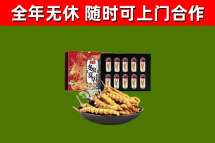 泸溪县回收冬虫夏草价格